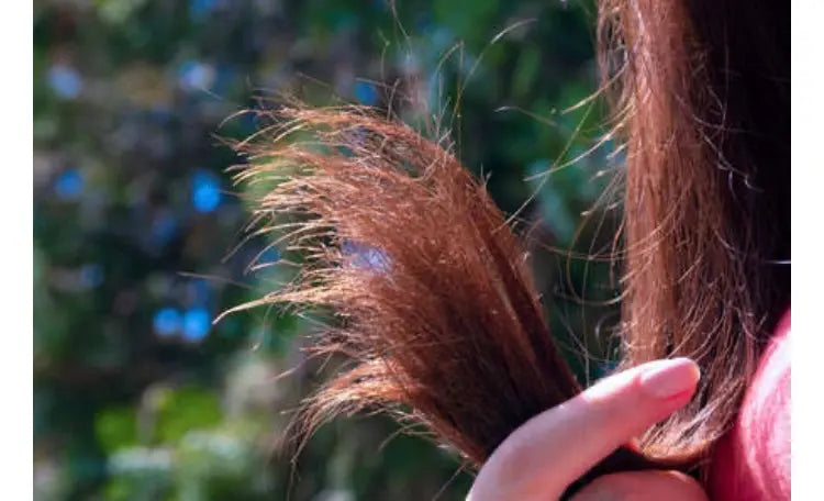 Soin cheveux secs